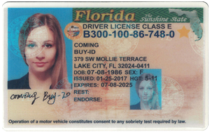 Old Florida ID (Dob before Aug.6,1996)-Buy-ID.com