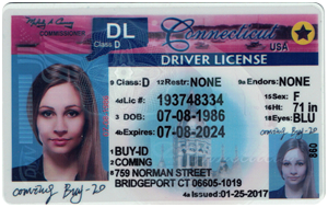 Old Connecticut ID (Dob before Feb.1,1996)-Buy-ID.com